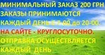 Инсектицид Тля
